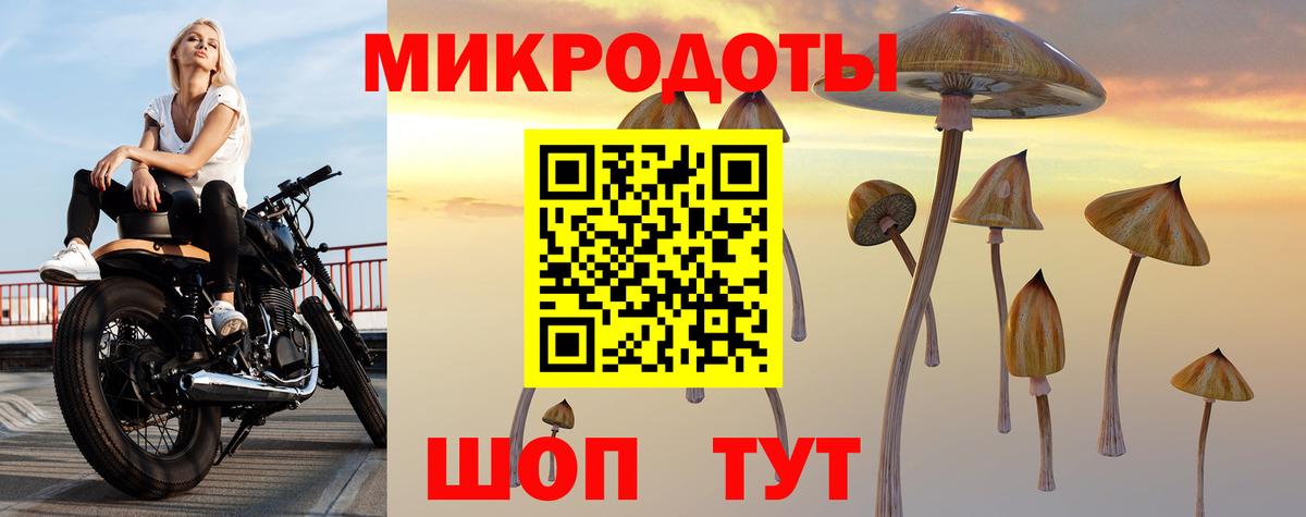Ленинск-Кузнецкий  Псилоцибиновые грибы Psilocybine cubensis  Вход с VPN  Галлюциногенные грибы прущие грибы 